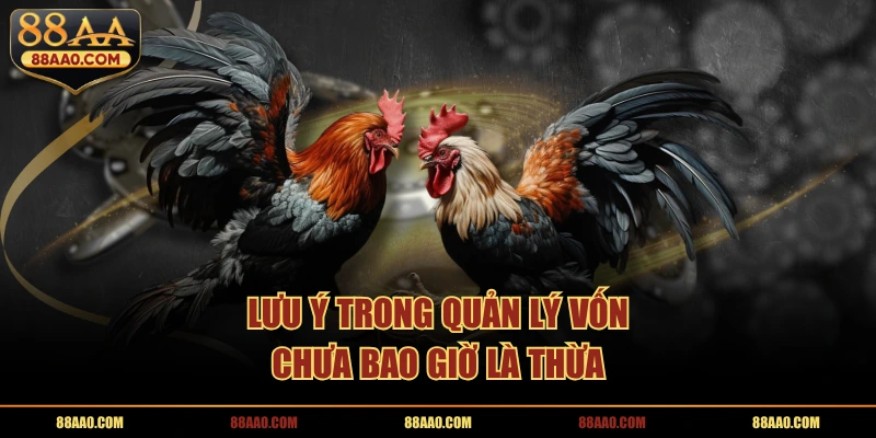 Đá gà 88aa lưu ý quản lý vốn