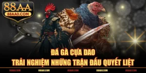 Đá gà cựa dao 88aa