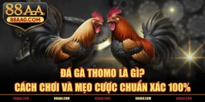 Đá gà thomo 88aa